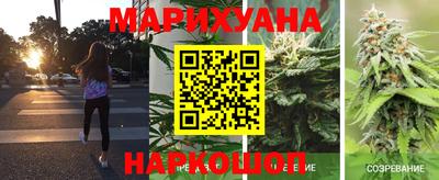 сатива Балаково