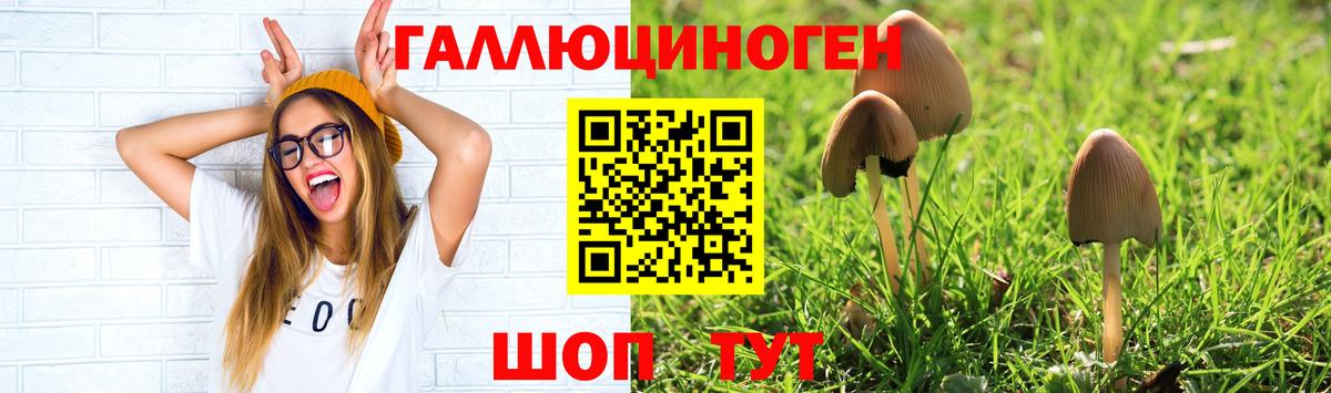 где купить   Псилоцибиновые грибы мухоморы  Галлюциногенные грибы GOLDEN TEACHER  Вход с VPN  Бор 
