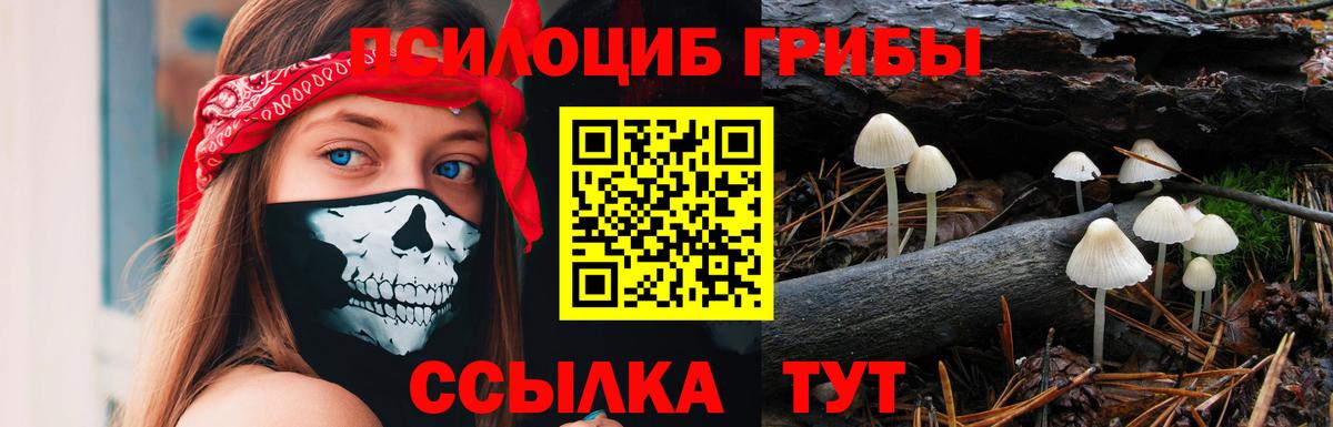 Галлюциногенные грибы Cubensis Бор